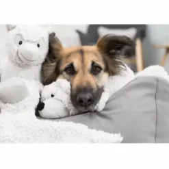 Be Eco Æsel Elenor - bamse i genbrugsplys til hunde Hundelegetøj Til Alle Hunde Leg Og Aktivering Året Rundt|Legetøj Til Hvalpe - Sjov Leg, Aktivering Og Tryghed Fra Første Dag