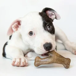 Puppy Wishbone Bacon S - hvalpe tyggeben med bacon Hundelegetøj Til Alle Hunde Leg Og Aktivering Året Rundt|Legetøj Til Hvalpe - Sjov Leg, Aktivering Og Tryghed Fra Første Dag