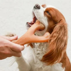 Outlet Wishbone Kylling S - tyggeben med kylling Hundelegetøj Til Alle Hunde Leg Og Aktivering Året Rundt