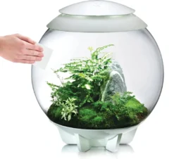 New BiOrb svampe sæt med 3 stk Akvarier