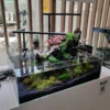 Best Blau Glasakvarium CUBIC Aquascaping Shallow 17 45x24x16 cm Akvarier