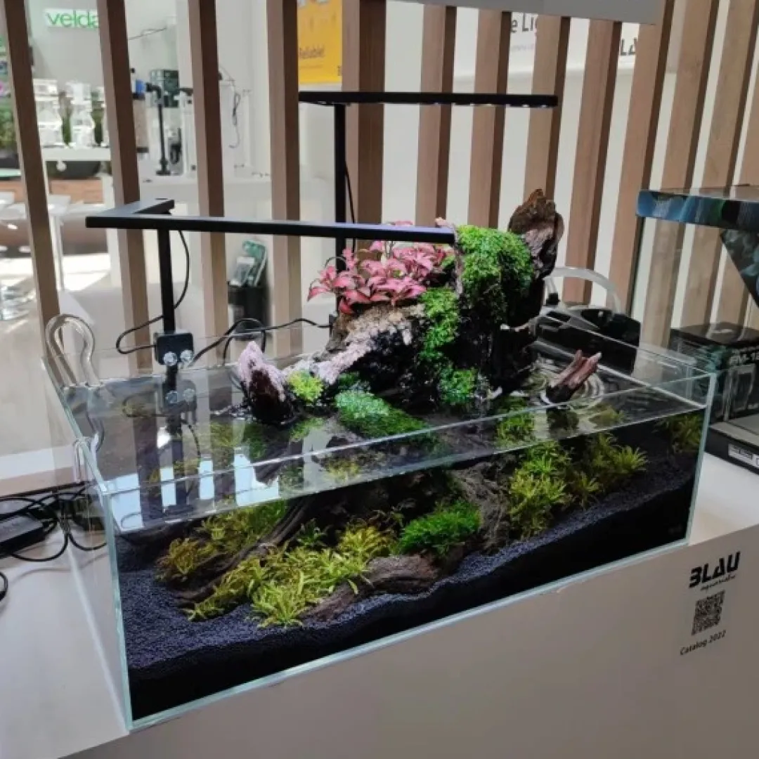 Best Blau Glasakvarium CUBIC Aquascaping Shallow 17 45x24x16 cm Akvarier