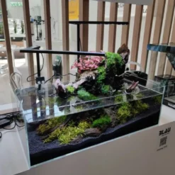 Best Blau Glasakvarium CUBIC Aquascaping Shallow 44 62x36x20 cm Akvarier