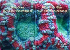 Best Blau Gran Cubic Super Reef 122 Black 366 liters Saltvandsakvarium Akvarier Til Saltvandsfisk|Akvarier