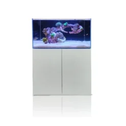Discount Blau Gran Cubic Super Reef 122 White 366 liters Saltvandsakvarium Akvarier Til Saltvandsfisk|Akvarier