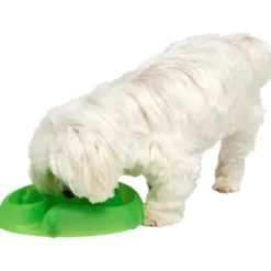 Clearance dogmaze (Lime) Hundeskåle Til Mad Og Drikke Der Passer Til Din Hunds Behov|Hundeskåle Til Hvalpe - Praktisk, Sikker Og Nem Spisetid
