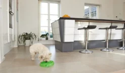 Clearance dogmaze (Lime) Hundeskåle Til Mad Og Drikke Der Passer Til Din Hunds Behov|Hundeskåle Til Hvalpe - Praktisk, Sikker Og Nem Spisetid
