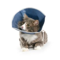Online stof halskrave 31 cm til katte og små hunde Hundetilbehør Til Hvalpe - Tryg Start I Hverdagen|Tilbehør Til Hund - Alt Til En Glad Og Tryg Hverdag For Din Bedste Ven