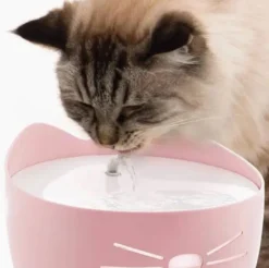 Outlet Pixi Drikkefontæne i Pink Mad- Og Vandskåle Til Katte|Killingeskåle - Mad- Og Vandskåle Til Killinger