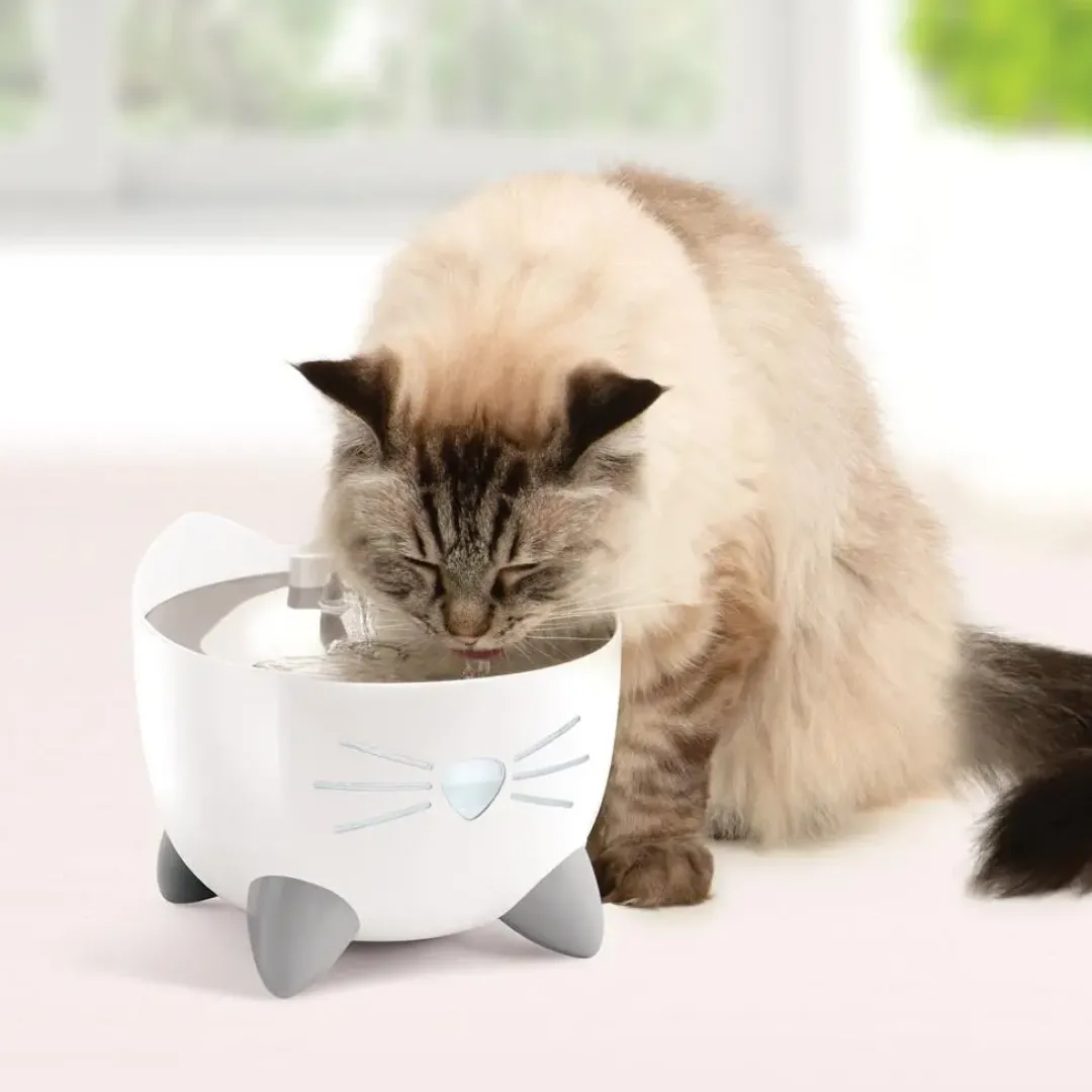 New Pixi Smart Drikkefontæne i Hvid (WIFI) Mad- Og Vandskåle Til Katte|Killingeskåle - Mad- Og Vandskåle Til Killinger
