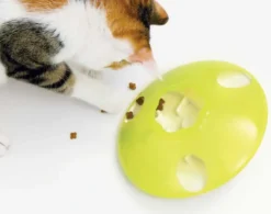 Discount Play Treat Spinner Kattelegetøj