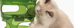 Hot Senses 2.0 Foderlabyrint Mad- Og Vandskåle Til Katte|Killingeskåle - Mad- Og Vandskåle Til Killinger