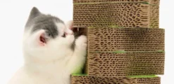 Senses 2.0 Scratcher Refill 8 stk Kradsetræer Og Klatremøbler Til Kat