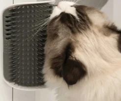 Hot Senses 2.0 Self Groomer - Kattebørste Kradsetræer Og Klatremøbler Til Kat
