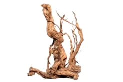 Discount Curl Wood Krøllet træ Medium Aquascaping|Dekoration Til Terrarier