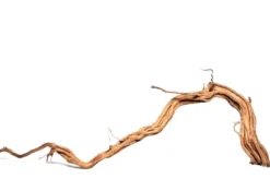 Discount Curl Wood Krøllet træ Medium Aquascaping|Dekoration Til Terrarier