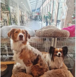 Online Cushion Krems fluffy rund hundeseng large mørkebrun Hundesenge Og Kurve Til Hunde - Bløde Og Komfortable|Sovepladser Til Hvalpe - Hundesenge, Kølemåtter Og Trygge Hvilesteder