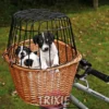 Best Cykelkurv (stor) brun flet Transport Og Adgang Til Hvalpe - Tryg Og Nem Hverdag|Transport Og Adgang For Hunde - Tryg Og Nem Hverdag