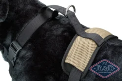 D & D All Season Hundesele L - Hals 50-71 cm livvidde 62-84 cm Hundeseler Til Alle Behov Og Hundestørrelser