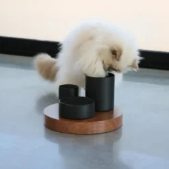 Online D&D CAT IGGY Slow Feeder 27x27x19 cm Sort Mad- Og Vandskåle Til Katte