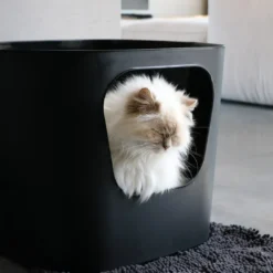 Outlet D&D CAT Kattetoilet DEAN - Stilrent - rummeligt og miljøvenligt Kattetoiletter Og Kattegrus|Killingetoilet Og Grus Til Killinger - Nem Renlighed Fra Start