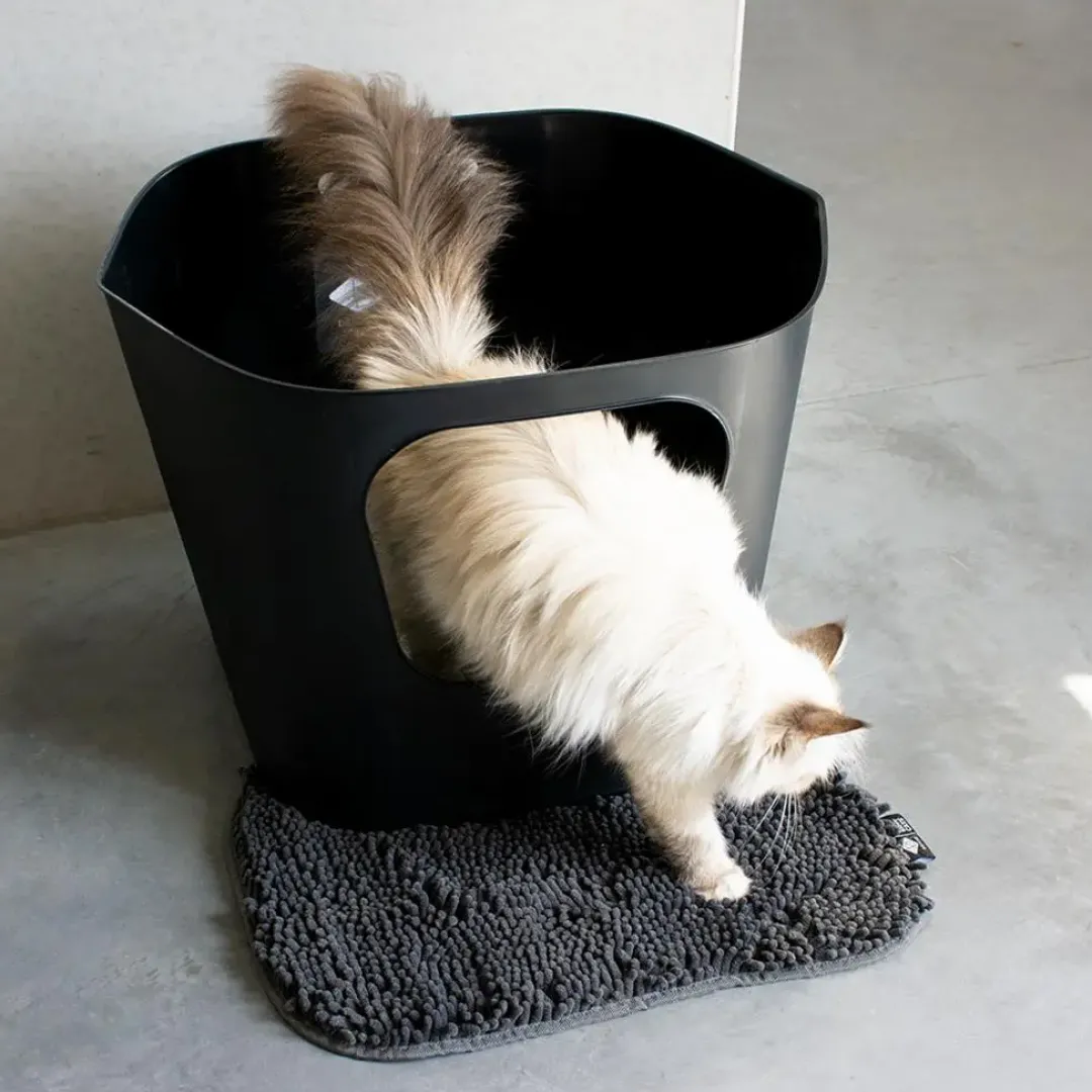 Outlet D&D CAT Kattetoilet DEAN - Stilrent - rummeligt og miljøvenligt Kattetoiletter Og Kattegrus|Killingetoilet Og Grus Til Killinger - Nem Renlighed Fra Start