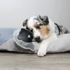 New D&D Home Bobo Grey Oxford 18x19 cm - hundelegetøj med pivelyd og TPR Hundelegetøj Til Alle Hunde Leg Og Aktivering Året Rundt|Legetøj Til Hvalpe - Sjov Leg, Aktivering Og Tryghed Fra Første Dag
