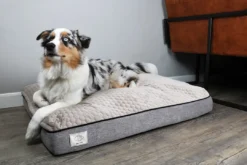 D&D Home Celia hundeseng Taupe stor 120x90x15 cm Hundesenge Og Kurve Til Hunde - Bløde Og Komfortable|Sovepladser Til Hvalpe - Hundesenge, Kølemåtter Og Trygge Hvilesteder