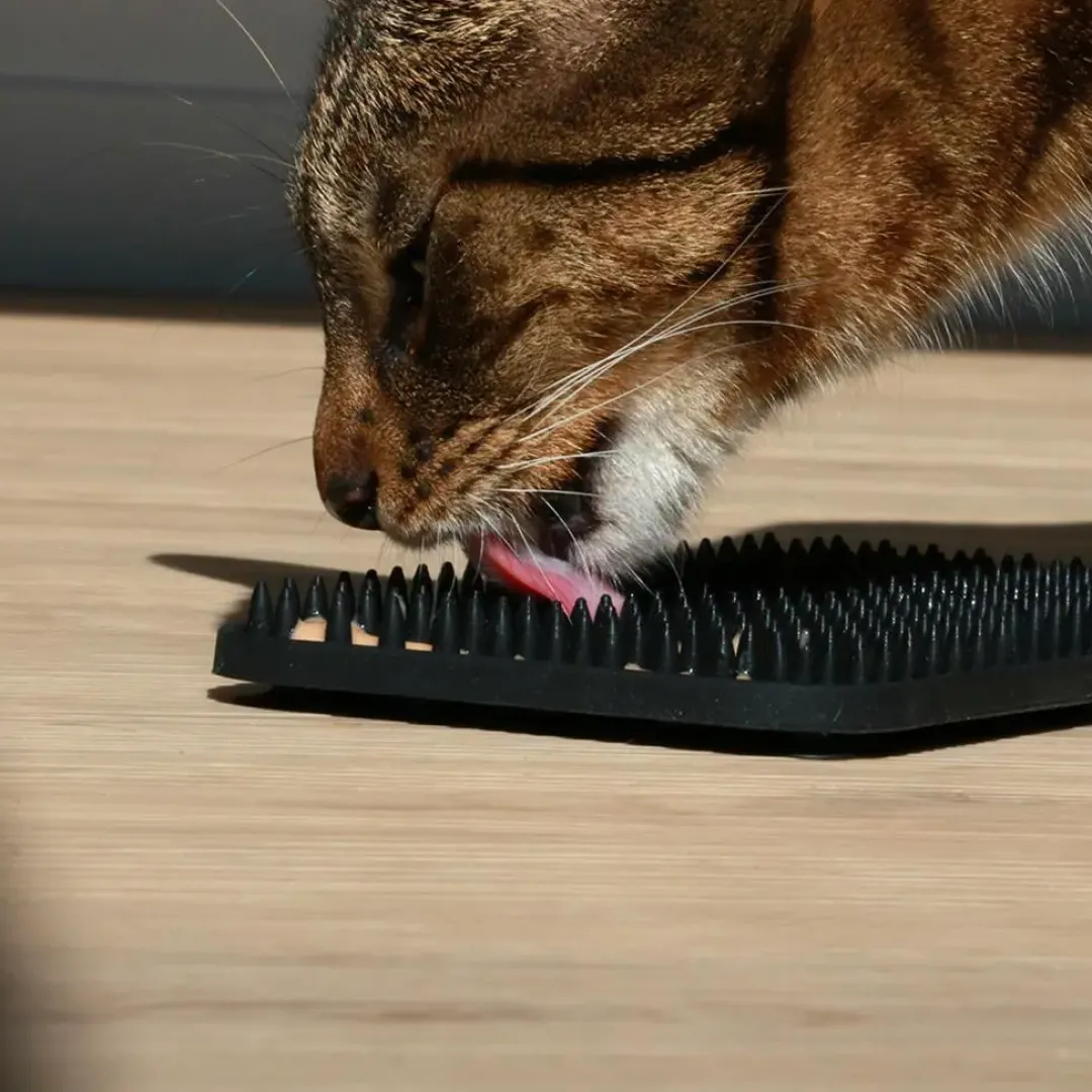 Clearance HappyCat Slikkemåtte sort Mad- Og Vandskåle Til Katte