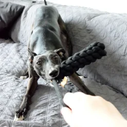 New D&D Home Kurt XS 22 cm Sort Knudereb 10 mm - hundelegetøj Hundelegetøj Til Alle Hunde Leg Og Aktivering Året Rundt|Legetøj Til Hvalpe - Sjov Leg, Aktivering Og Tryghed Fra Første Dag