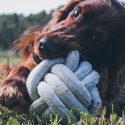 Discount D&D Home Skip Ball XS 6 cm Sort Knudereb 10 mm - hundelegetøj Hundelegetøj Til Alle Hunde Leg Og Aktivering Året Rundt|Legetøj Til Hvalpe - Sjov Leg, Aktivering Og Tryghed Fra Første Dag
