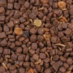 Best Greenline Pindsvinfoder 600 g - Naturligt & energirigt foder til havens pindsvin Foder & Snack Til Gnavere & Kanin