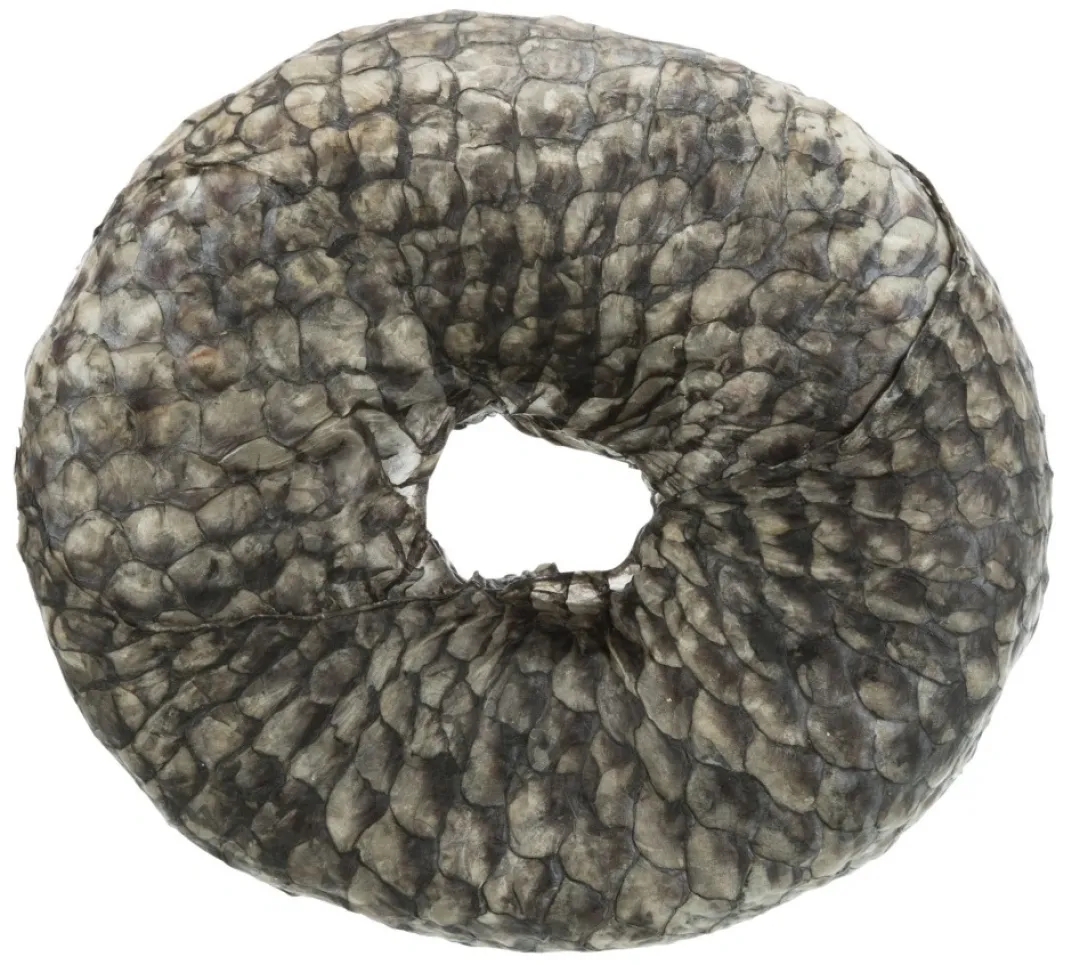 Best Denta Fun Tyggering med Fisk Ø 10 cm - sund hundesnack Snacks Til Hvalpe - Lækre Godbidder Til Træning Og Forkælelse|Hundeguf Og Tyggeben Til Hunde