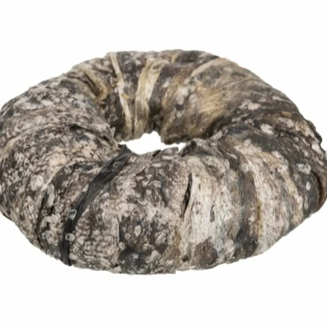 Best Denta Fun Tyggering med Fisk Ø 10 cm - sund hundesnack Snacks Til Hvalpe - Lækre Godbidder Til Træning Og Forkælelse|Hundeguf Og Tyggeben Til Hunde