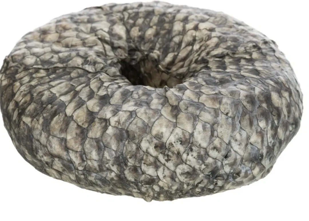 Best Denta Fun Tyggering med Fisk Ø 10 cm - sund hundesnack Snacks Til Hvalpe - Lækre Godbidder Til Træning Og Forkælelse|Hundeguf Og Tyggeben Til Hunde