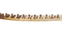 Online Denta Fun Veggie Tyggeben 12 cm (vegetabilsk) - sundt og vegansk tyggeben til hunde Snacks Til Hvalpe - Lækre Godbidder Til Træning Og Forkælelse|Hundeguf Og Tyggeben Til Hunde