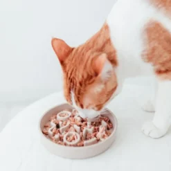 Online Bambus Katte foderskål Slow Feeder Merengue Mad- Og Vandskåle Til Katte