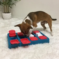 Online DogBrick Aktivitetslegetøj Blå SV2 - udfordrende hundespil Hundelegetøj Til Alle Hunde Leg Og Aktivering Året Rundt|Legetøj Til Hvalpe - Sjov Leg, Aktivering Og Tryghed Fra Første Dag