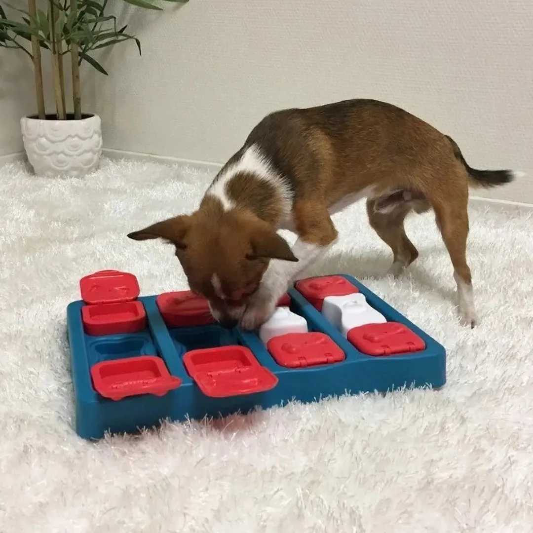 Online DogBrick Aktivitetslegetøj Blå SV2 - udfordrende hundespil Hundelegetøj Til Alle Hunde Leg Og Aktivering Året Rundt|Legetøj Til Hvalpe - Sjov Leg, Aktivering Og Tryghed Fra Første Dag