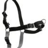 Sale Easy Walk Hundesele Sort XL - Bryst 44-59,5 cm Hundeseler Til Alle Behov Og Hundestørrelser