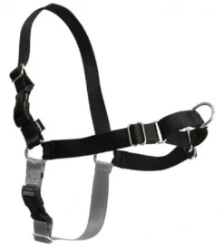 Sale Easy Walk Hundesele Sort XS - Bryst 15-17,5 cm Hundeseler Til Alle Behov Og Hundestørrelser