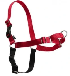 Sale Easy Walk Hundesele S Rød - Bryst 21,5-28 cm Hundeseler Til Alle Behov Og Hundestørrelser