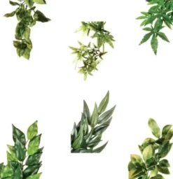 Clearance Exo Terra Abuliton medium Terrarieplanter