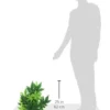 Outlet Exo Terra Abuliton stor Terrarieplanter