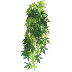 Outlet Exo Terra Abuliton stor Terrarieplanter