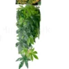 Exo Terra Abutilon lille Terrarieplanter