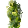Online Exo Terra Amapallo lille Terrarieplanter