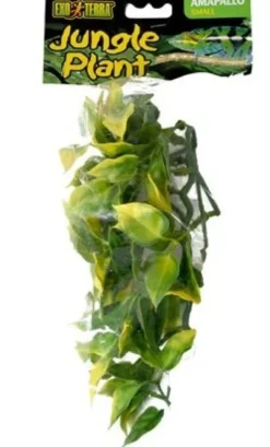 Online Exo Terra Amapallo lille Terrarieplanter