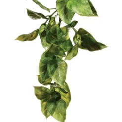 Exo Terra Amapallo medium Terrarieplanter