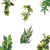 Best Exo Terra Amapallo stor Terrarieplanter